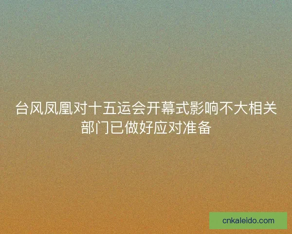 台风凤凰对十五运会开幕式影响不大相关部门已做好应对准备