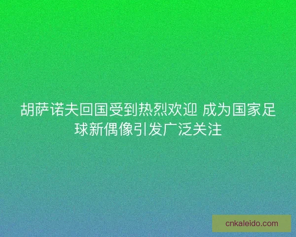 胡萨诺夫回国受到热烈欢迎 成为国家足球新偶像引发广泛关注